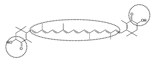 虾青素的分子结构